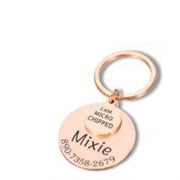 Anti-lost Engraved Pet Tag Collar Tag Pendant Keychain