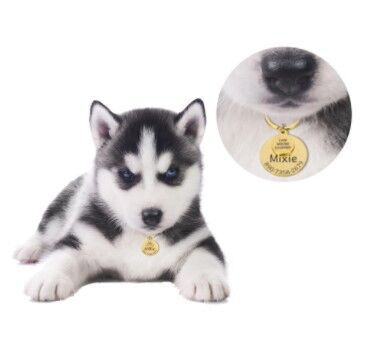 Anti-lost Engraved Pet Tag Collar Tag Pendant Keychain